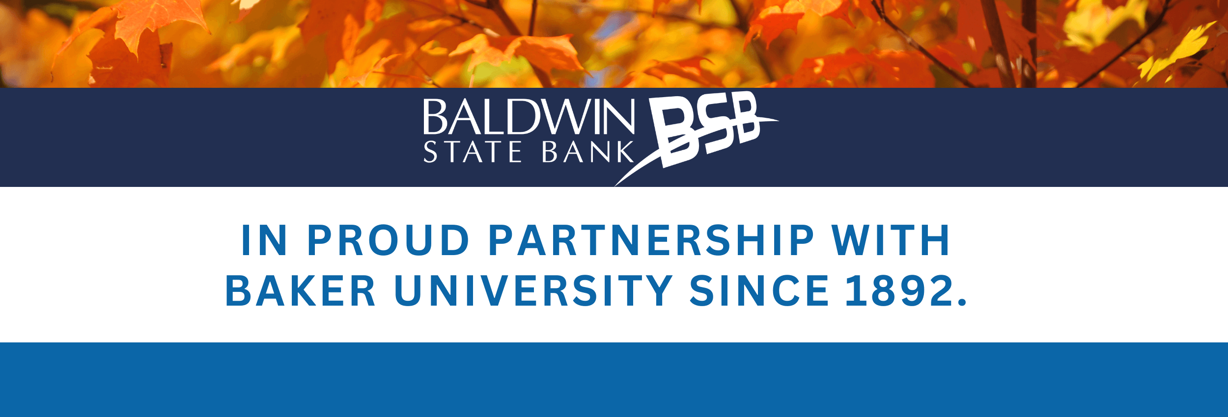 Copy of Add a heading (2500 x 850 px) (2)